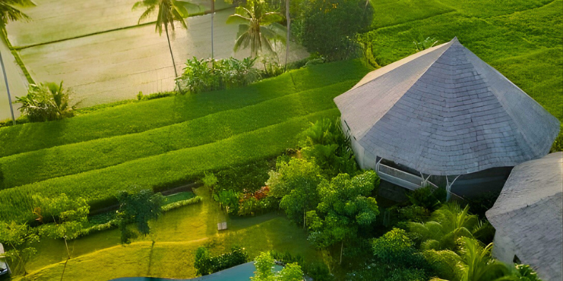 12 12 19 WOLO Travel